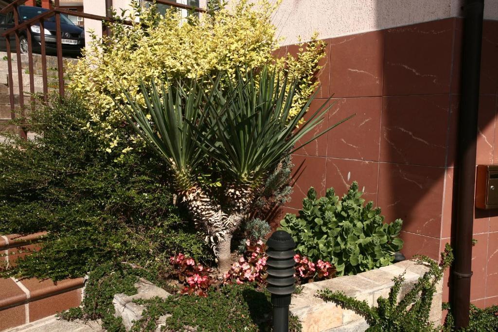 Fjord B&B Σωζόπολη Εξωτερικό φωτογραφία